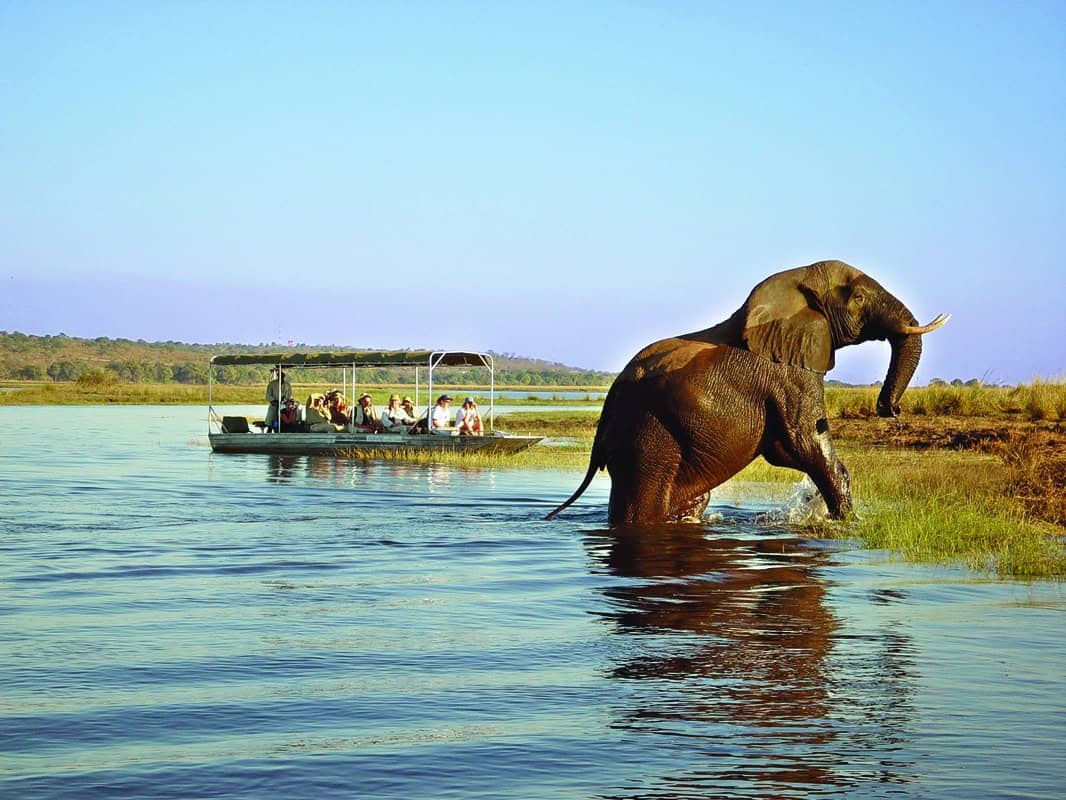 25 reasons why you should explore Chobe National Park | Discover Africa  Safaris