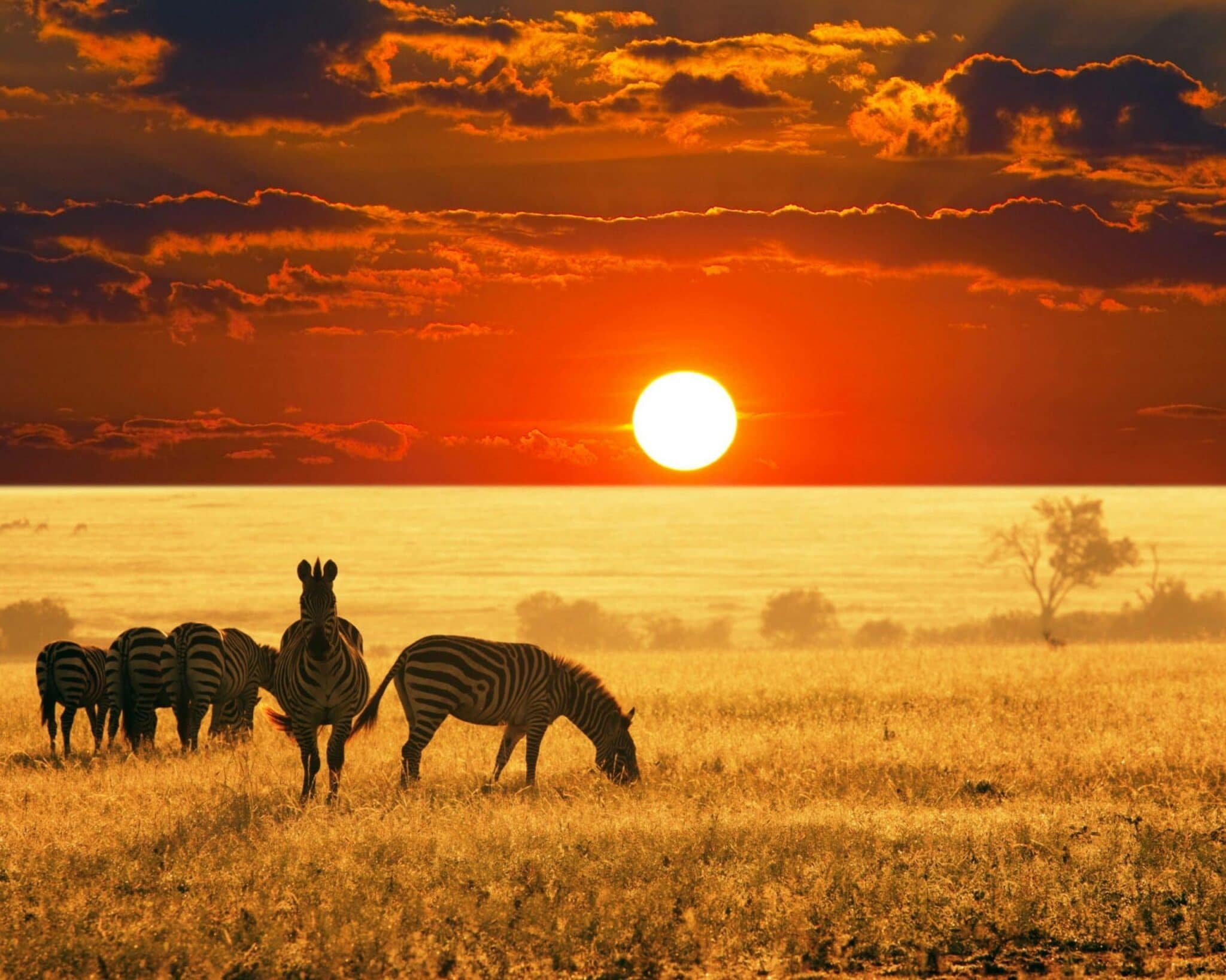 Tips for those wishing to visit Africa for the first time Discover Africa