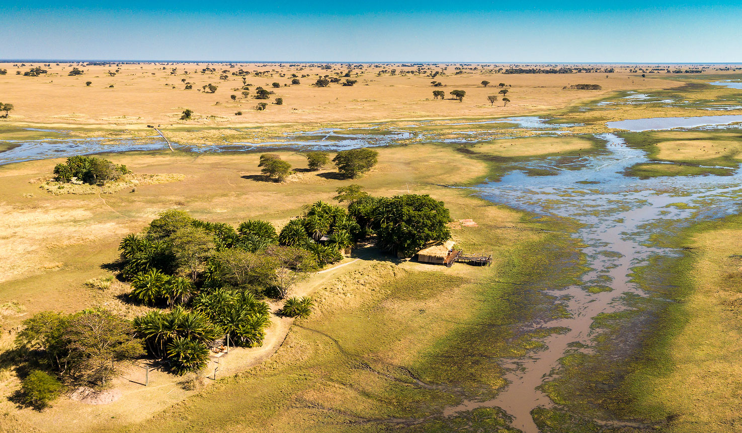 Busanga Plains