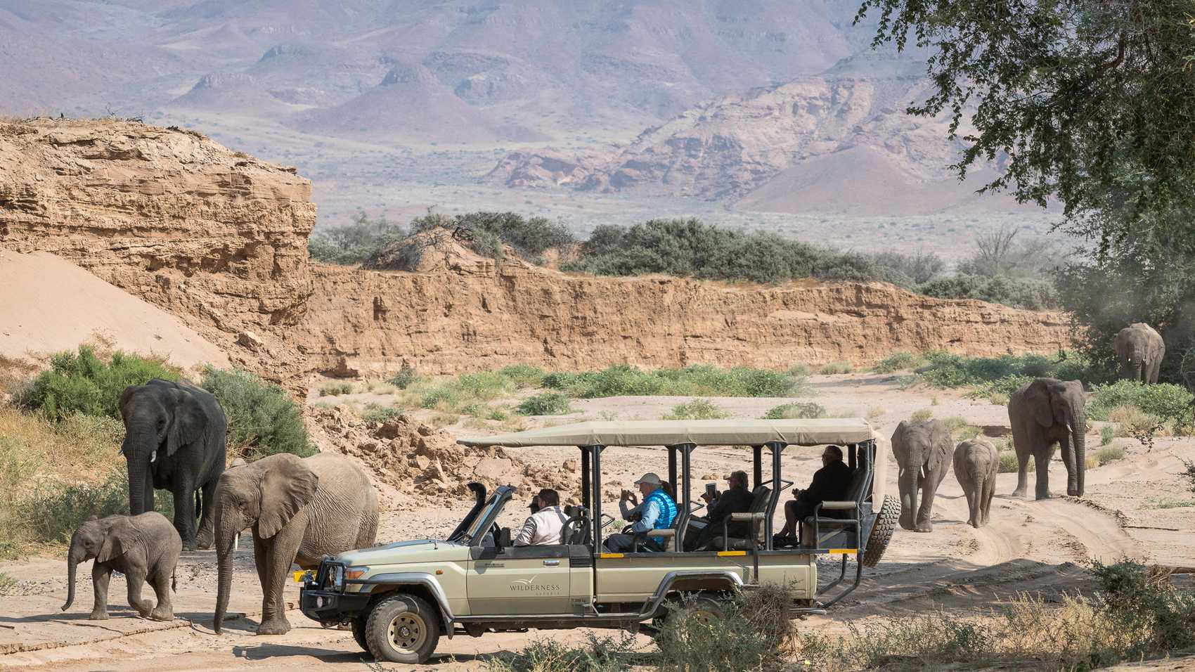 Damaraland Safari