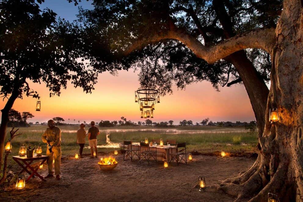 Camping in Moremi Game Reserve (5 days) Discover Africa Safaris