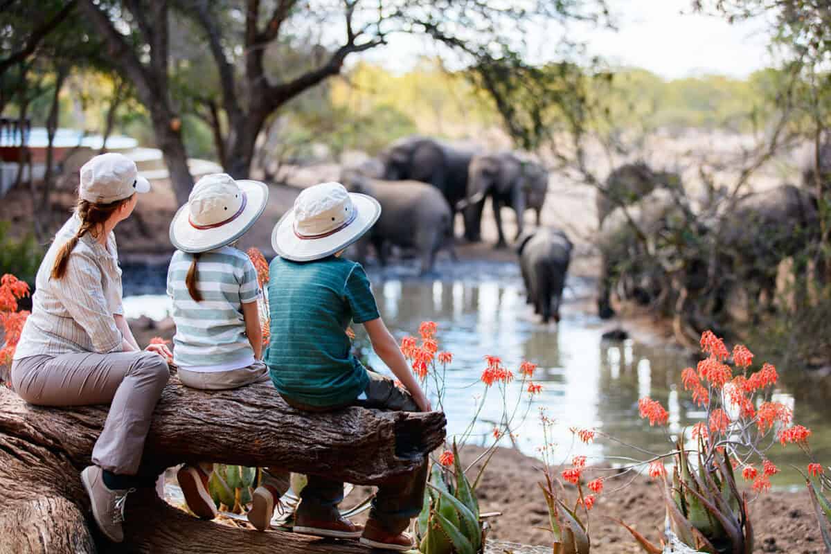 Family & kid friendly safaris, holidays & tours Discover Africa Safaris