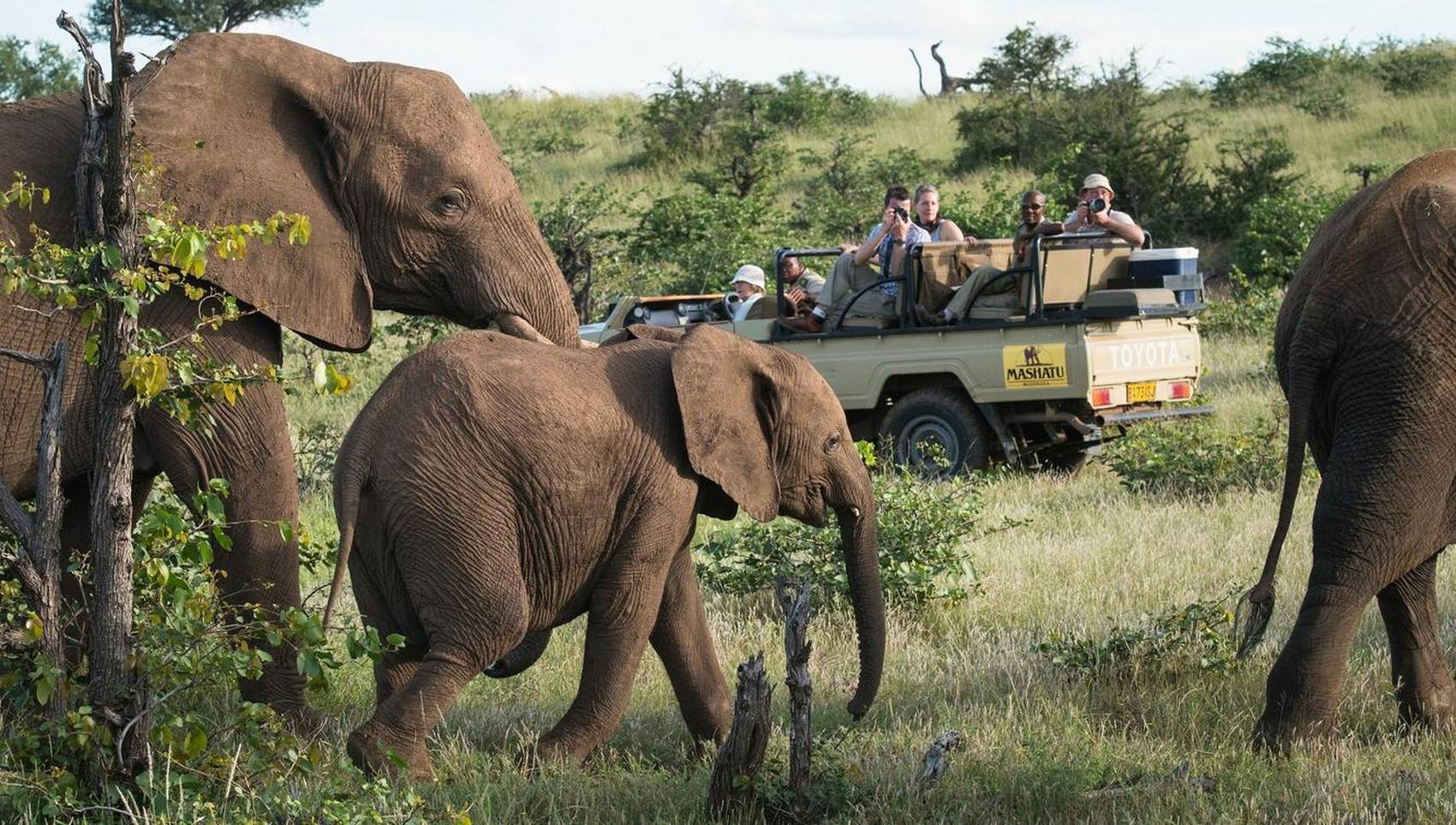Mashatu Game Reserve Safari – Discover Africa