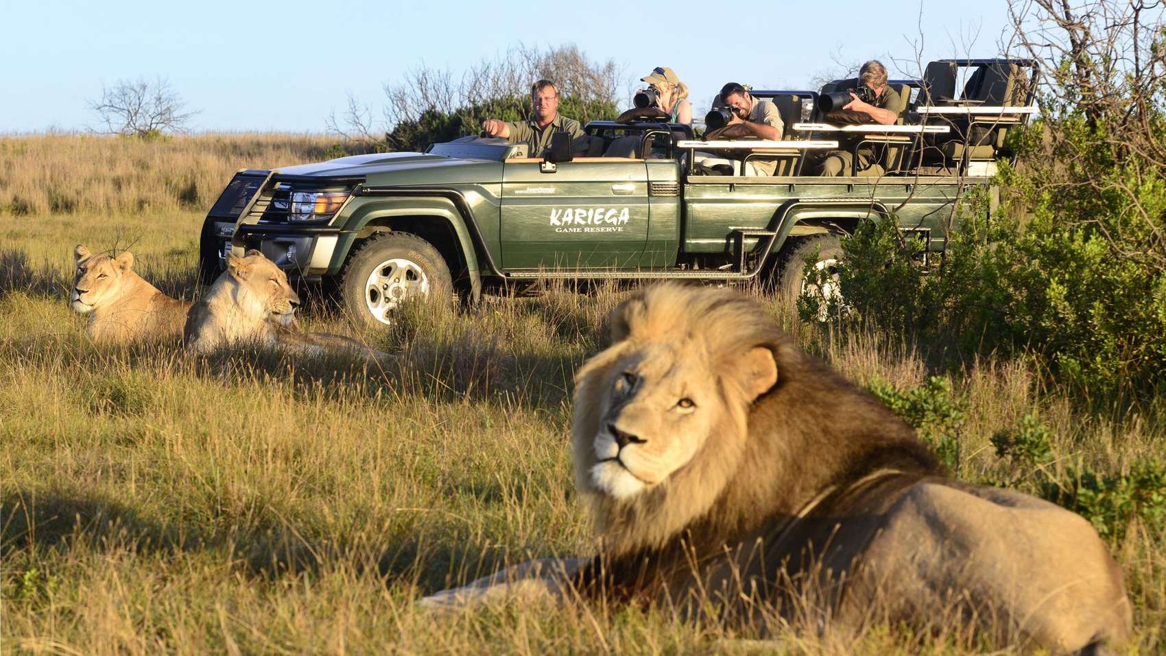 pinder safari park south africa