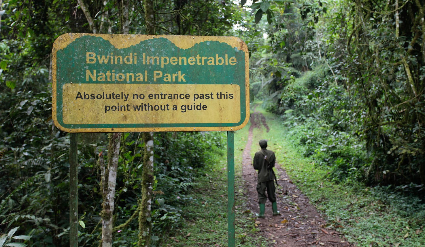 4 Days Luxury Gorilla Trekking Safari