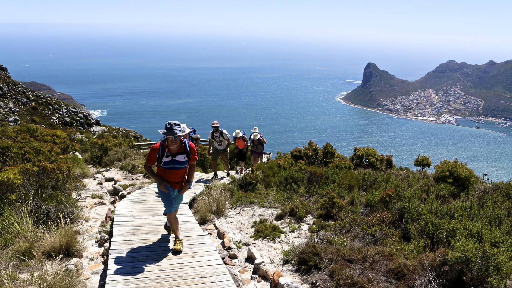 Cape Town in February Discover Africa Safaris
