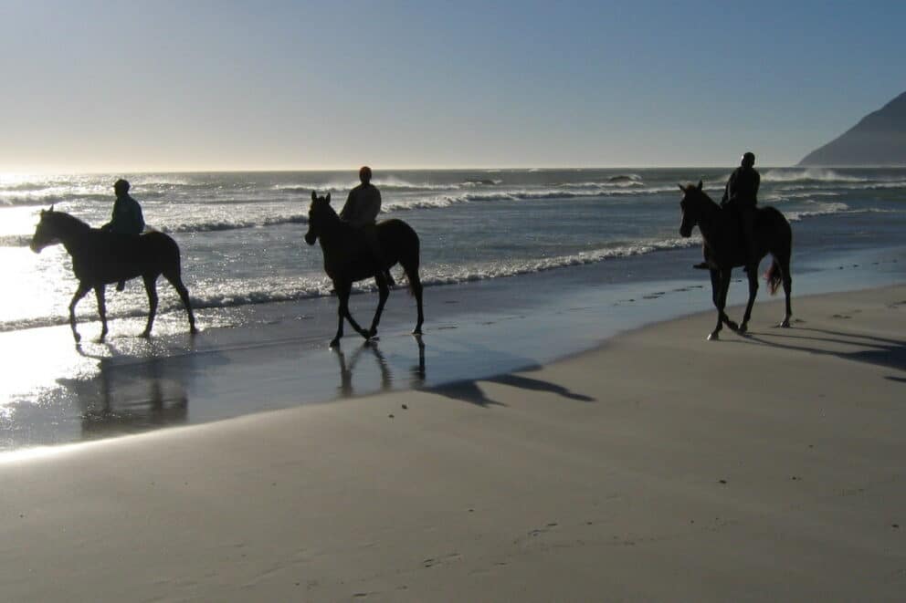 Horse riders on Noordhoek beach in Cape Town.