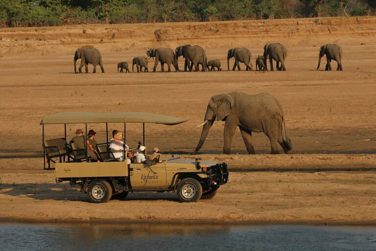 Is Zambia Safe? Discover Africa Safaris