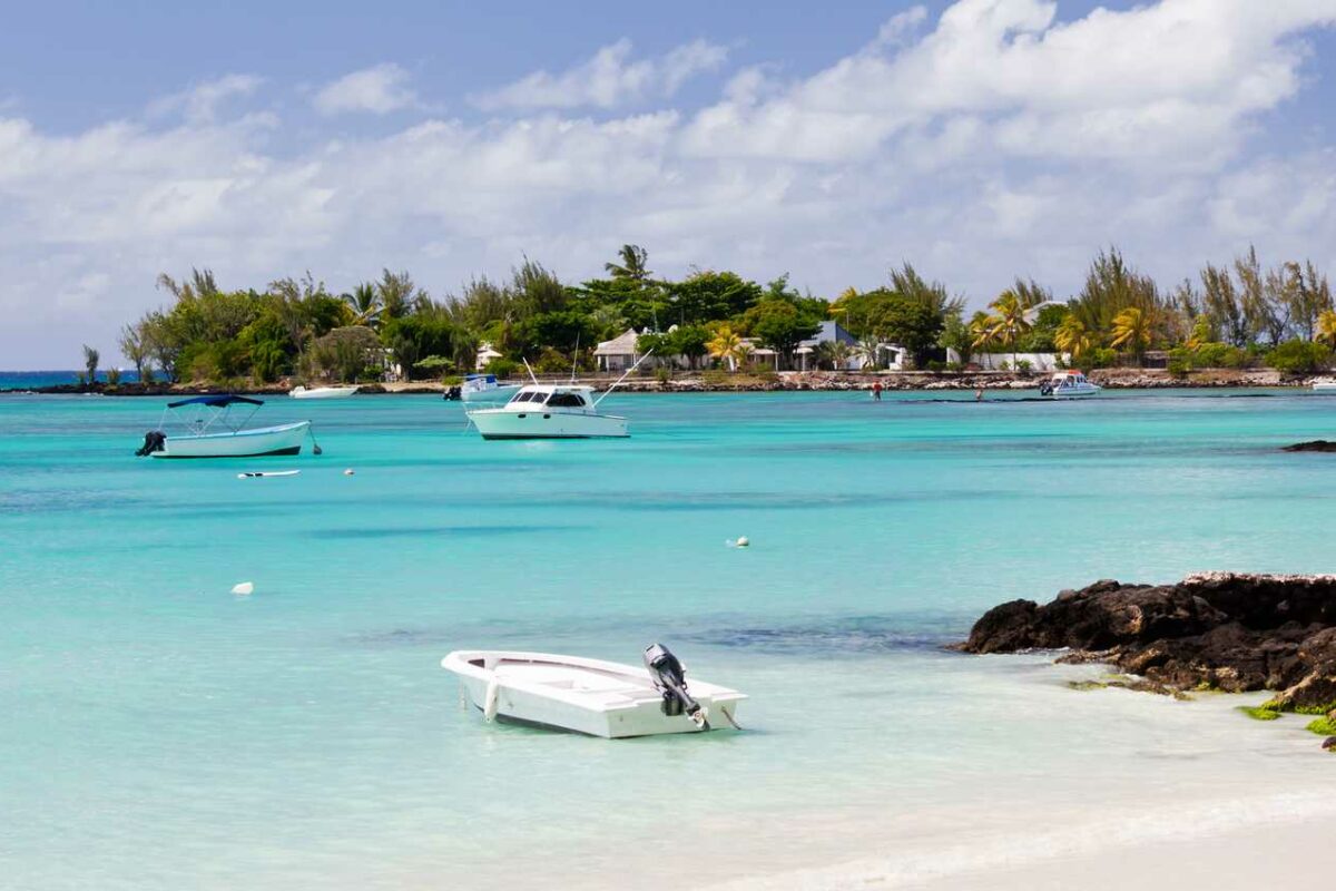 Wildlife, Flora and Fauna of Mauritius – Discover Africa
