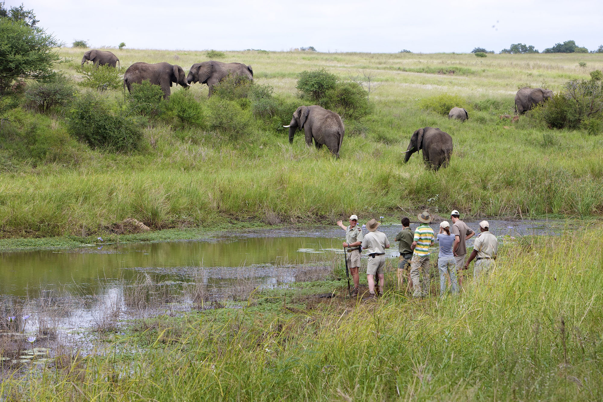 kapama africa safari tours