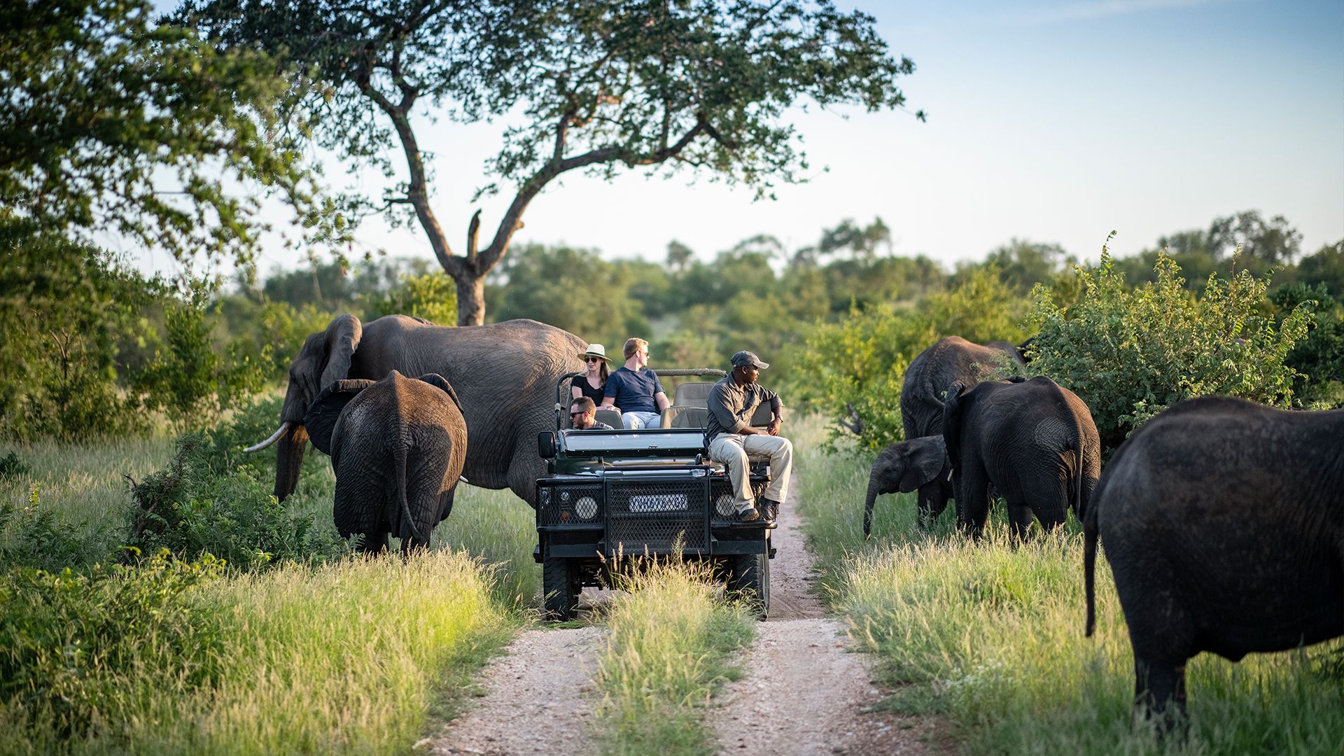 trip cape town kruger