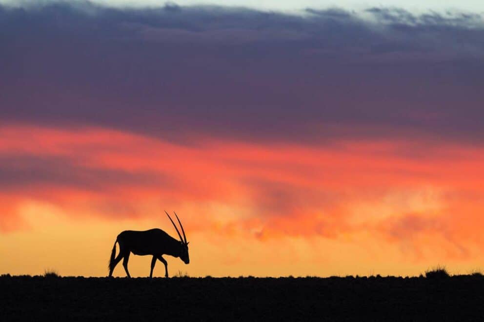 South Africa to Namibia 4x4 SelfDrive Adventure (11 days) Discover