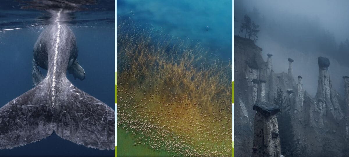 The National Geographic Travel Photography 2018 winners