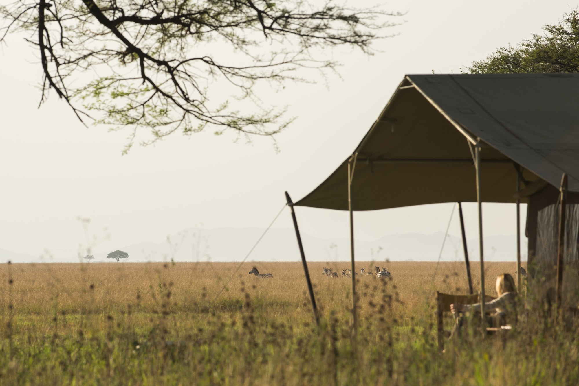 Top 5 tented migration camps in Tanzania