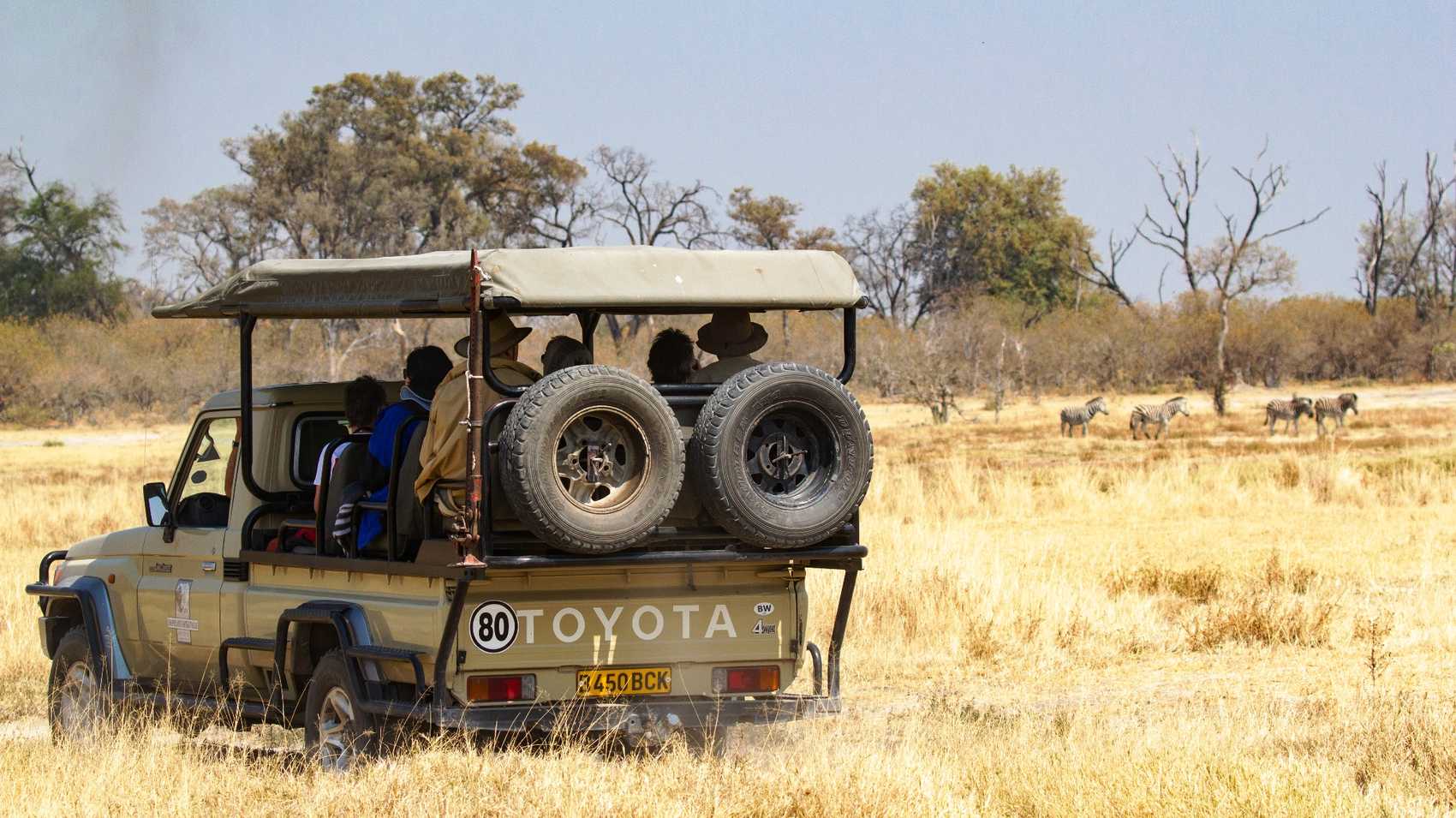 Game drive in Moremi Game Reserve, one of Botswana's national parks.