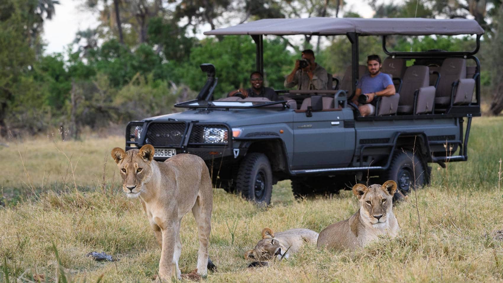 botswana safari in december