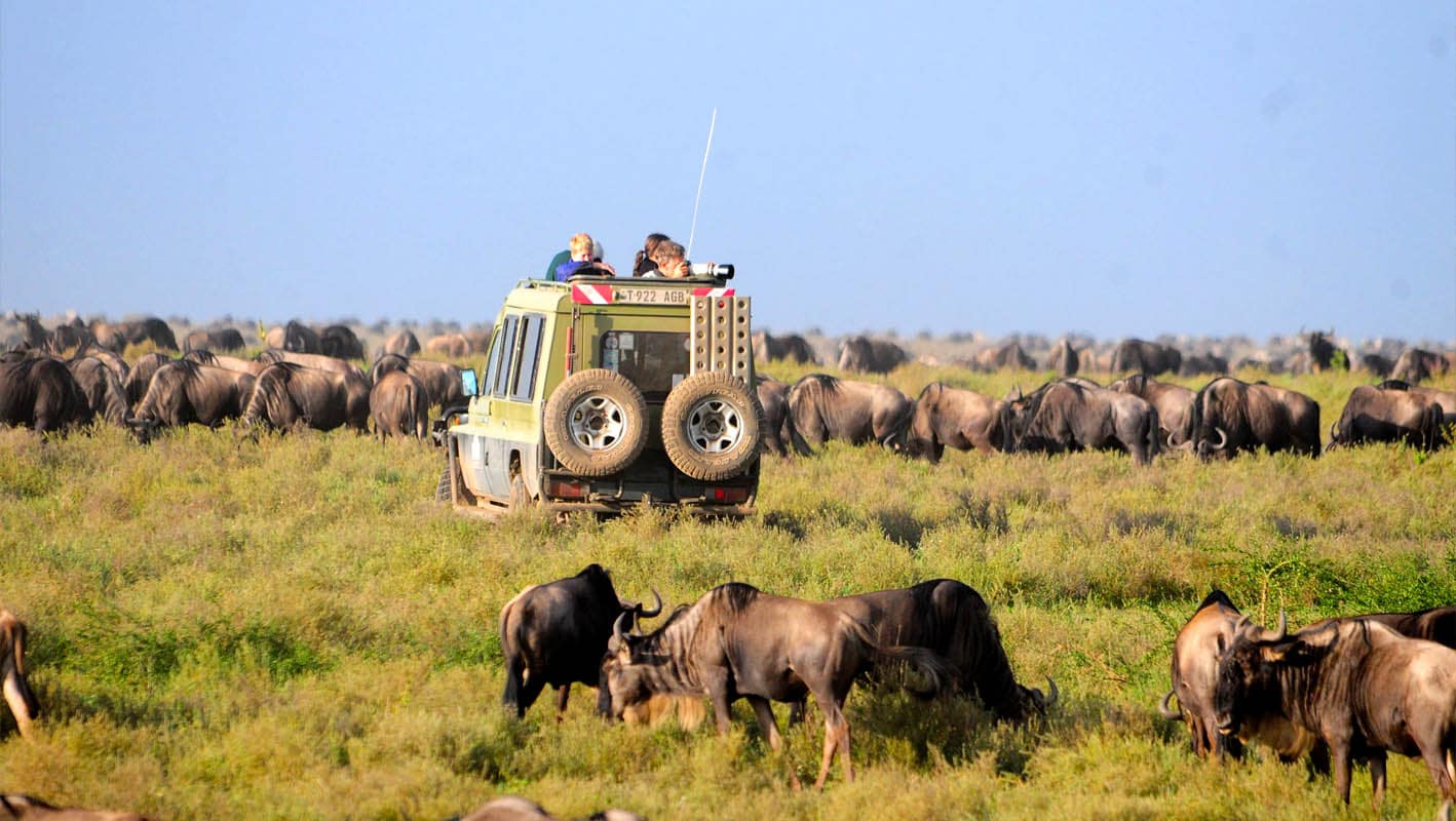 Serengeti National Park Safaris & Tours | Serengeti Safari