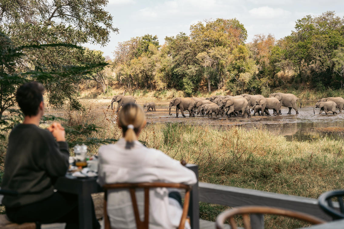 Luxury Safari and Casino Experience