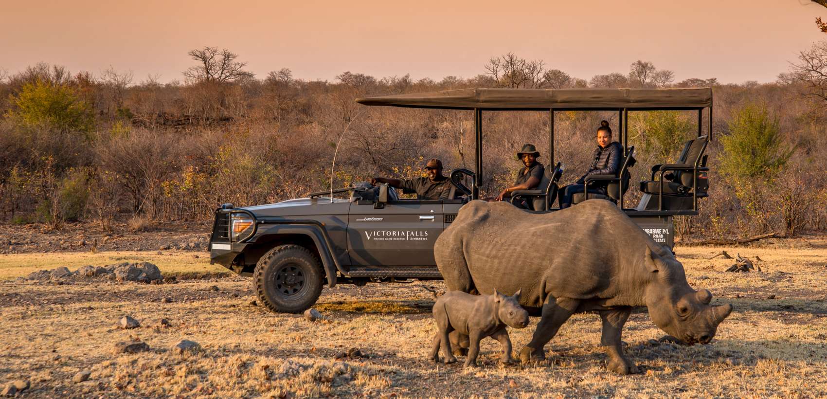 Luxury Zimbabwe Safari