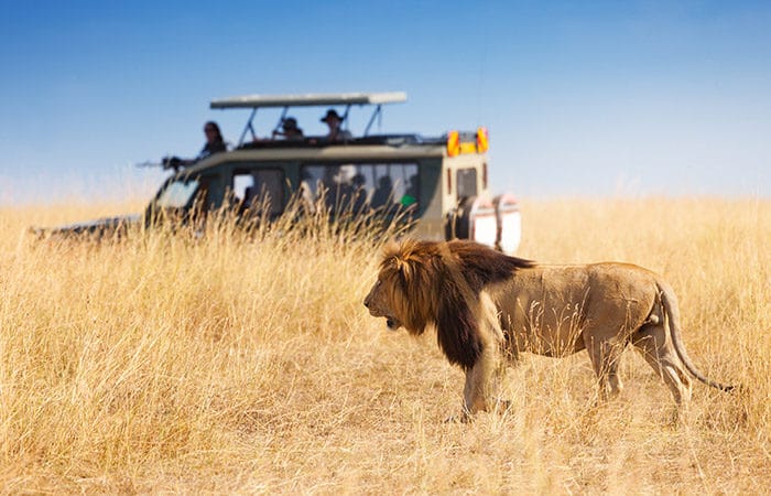 When is the best time to visit Tanzania? | Safari FAQs