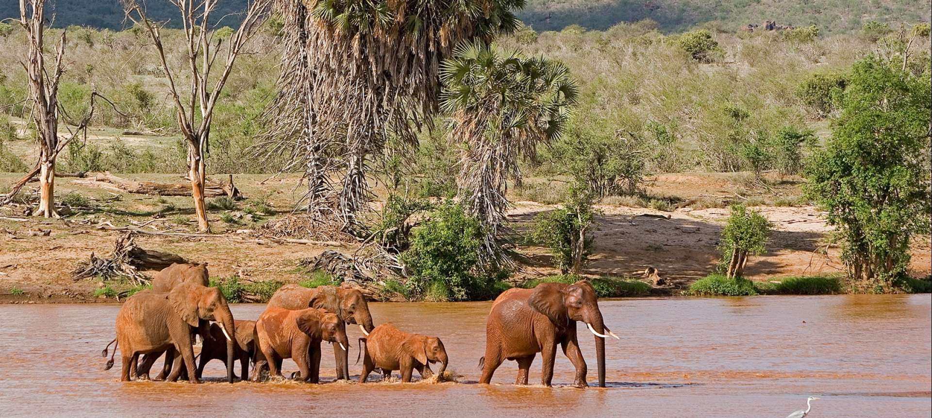 When is the best time to visit Tsavo East and West National Park? | FAQs