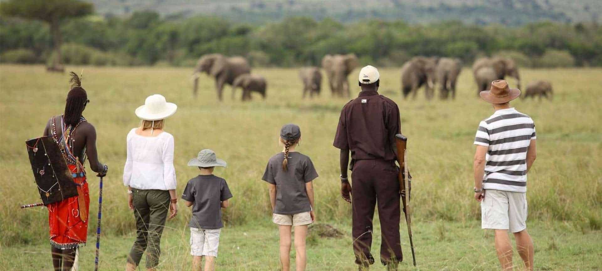 Are walking safaris safe? Safari FAQs