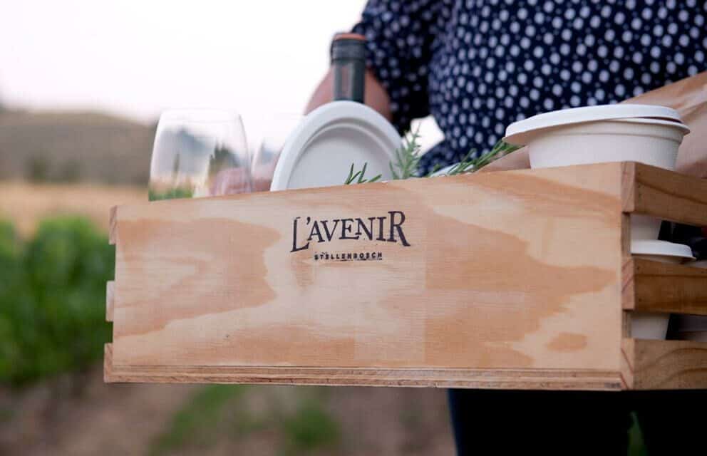 L'Avenir Estate L'Avenir Estate Discover Africa Safaris