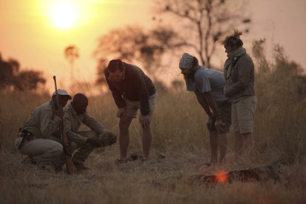 Three safari guests and two safari guides on a walking safari in the Okavango Delta.