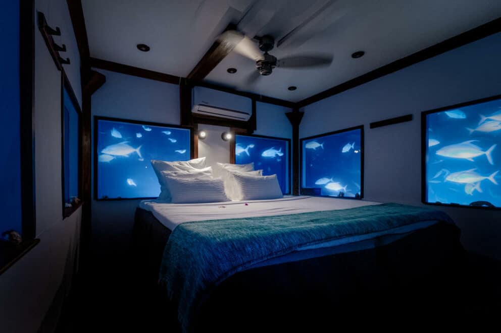 diamond Weakness End The Manta Resort The Manta Resort, Pemba Island, Tanzania | Discover Africa Safaris diamond Weakness End The Manta Resort The Manta Resort, Pemba Island, Tanzania | Discover Africa Safaris