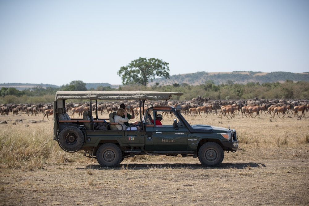 Safari Tours, Packages & Tailored Itineraries