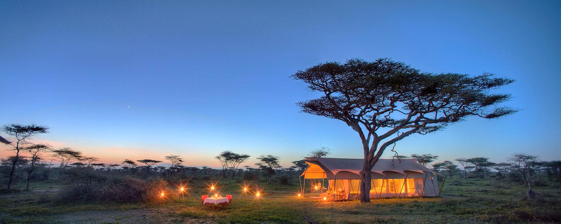 Luxury Serengeti Adventure