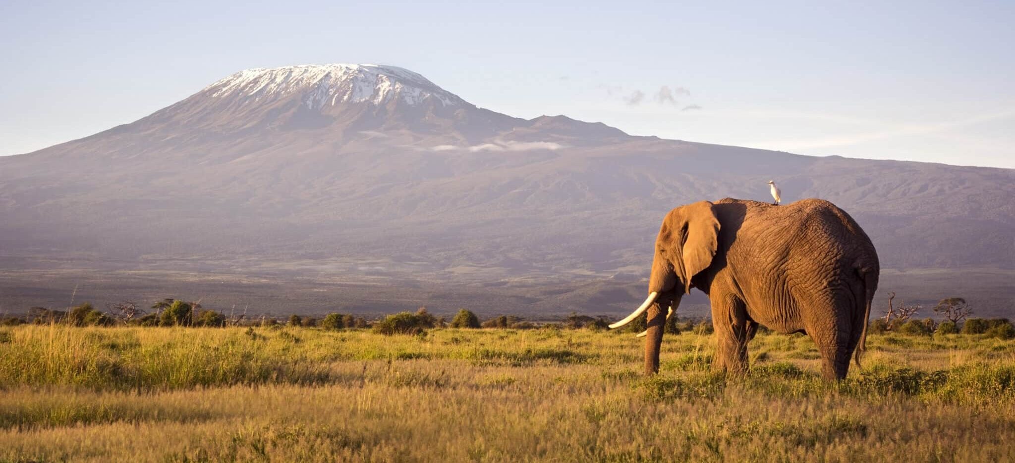 best safaris in kenya