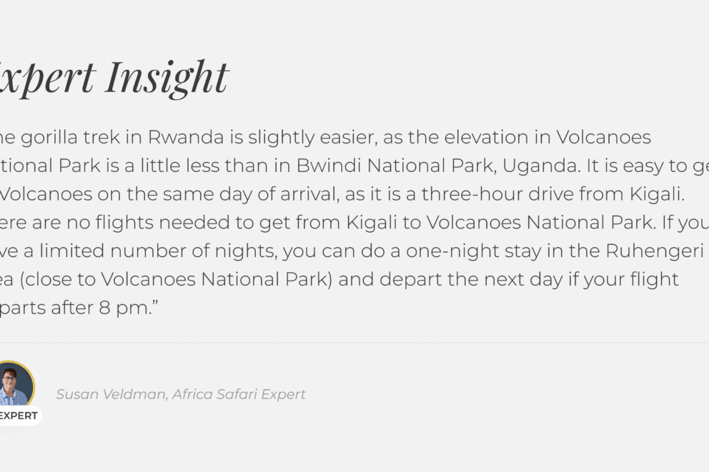 Discover Africa Safari Expert insight on gorilla trekking in Rwanda and Uganda.