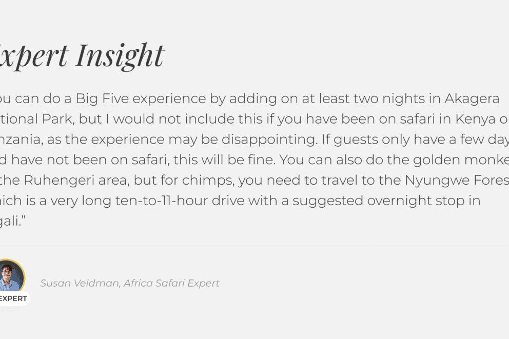 Discover Africa Safari Expert insight on gorilla trekking in Rwanda and Uganda.