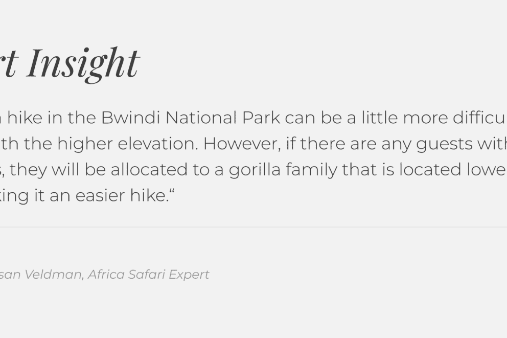 Discover Africa Safari Expert insight on gorilla trekking in Rwanda and Uganda.