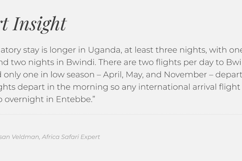 Discover Africa Safari Expert insight on gorilla trekking in Rwanda and Uganda.