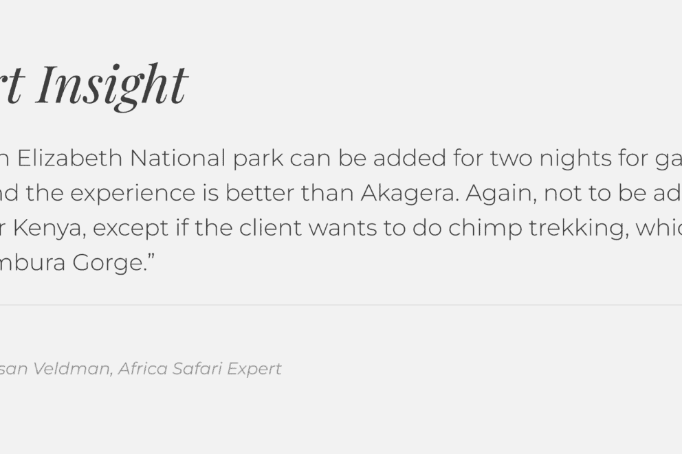 Discover Africa Safari Expert insight on gorilla trekking in Rwanda and Uganda.