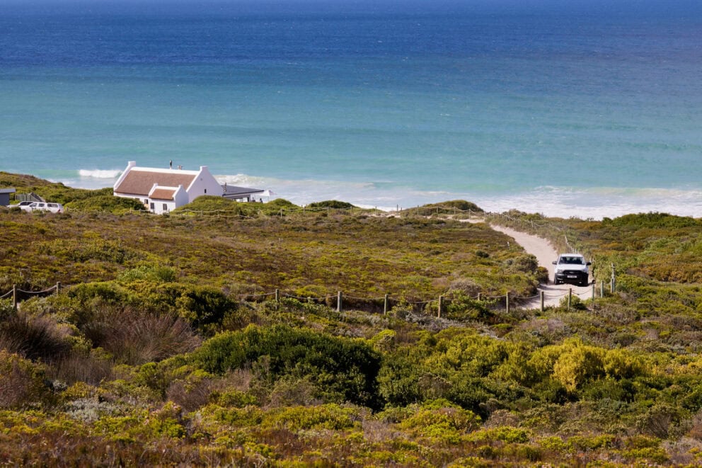 A narrow road on the shore surrounded by lush greenery. De Hoop Nature Reserve.