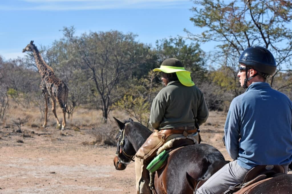 Horseback safari with guide and tourist