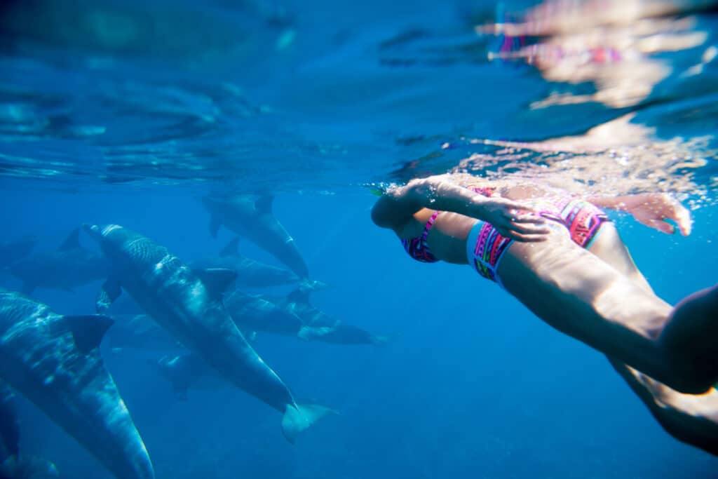 Young woman swiming in the beautiful water on Mauritius island with dolphins