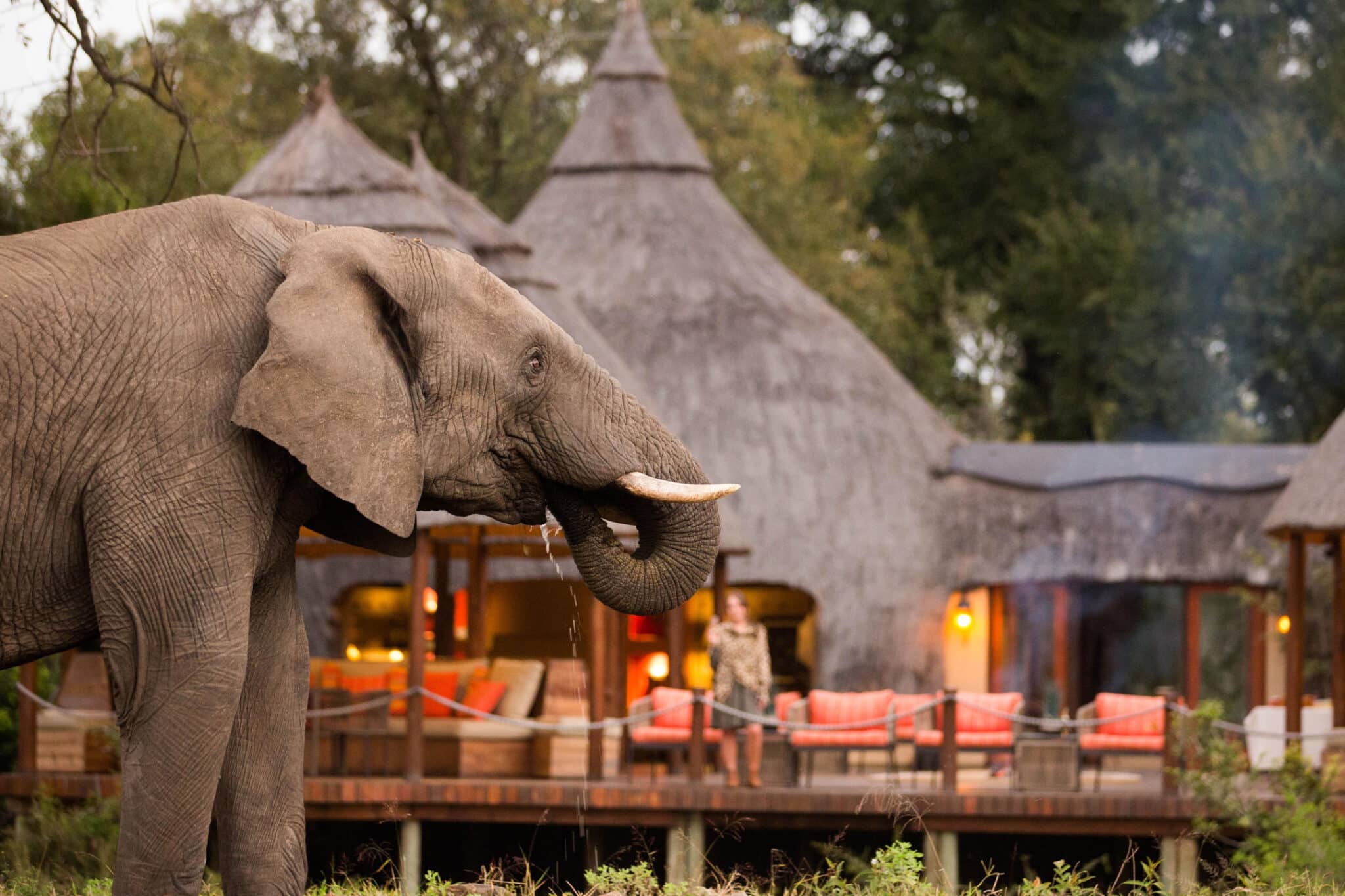 The Top 10 South African Safari Lodges Discover Africa Safaris