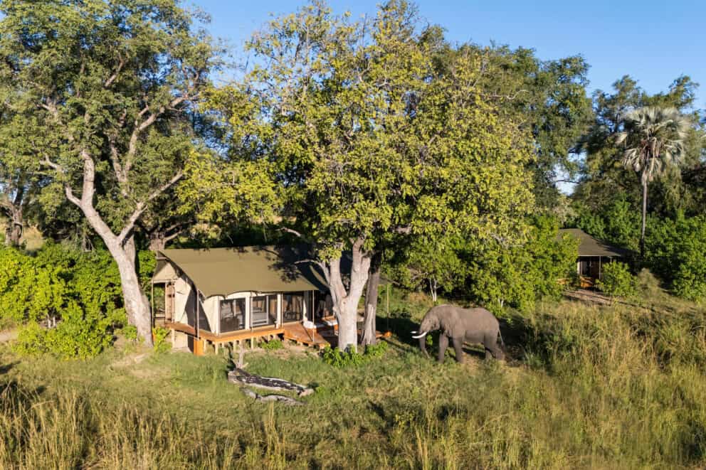 Luxury Tent in the trees at Monachira Camp. One of the top Okavango Delta Lodges