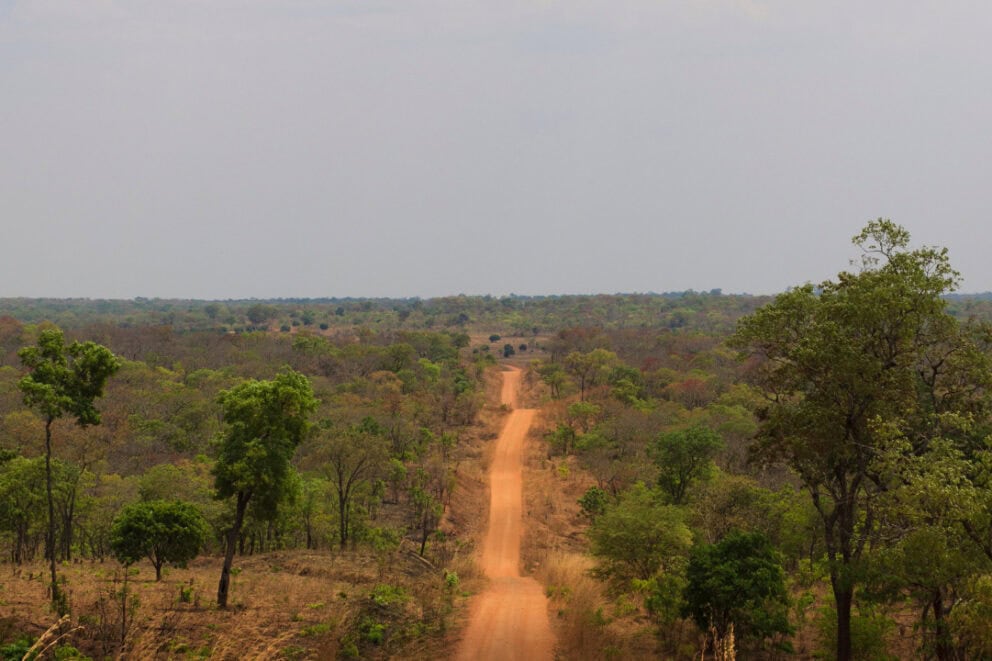 Dirt road in Zambia.
