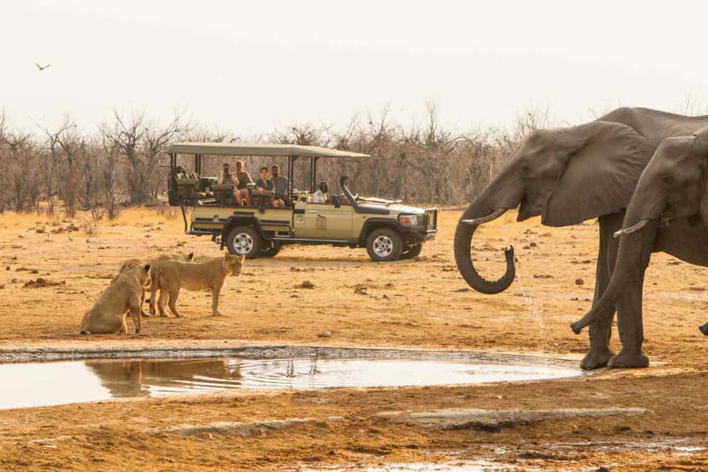 Botswana photography safari packages in Savute