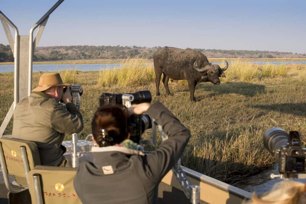 Botswana photography safari packages on the Chobe River