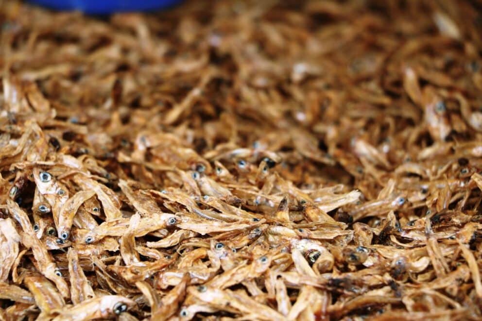 Dried Kapenta on the market