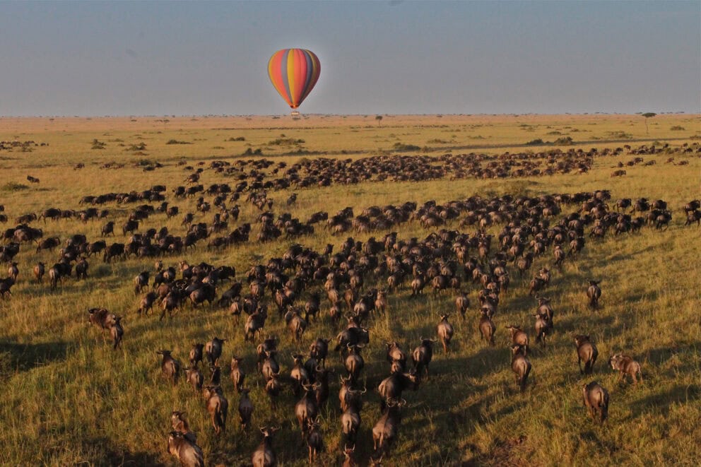 Hot-Air Balloon over Great Migration | Photo credit: Basecamp Dorobo Mobile