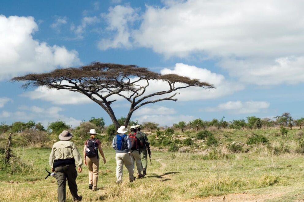 A guided walking safari.