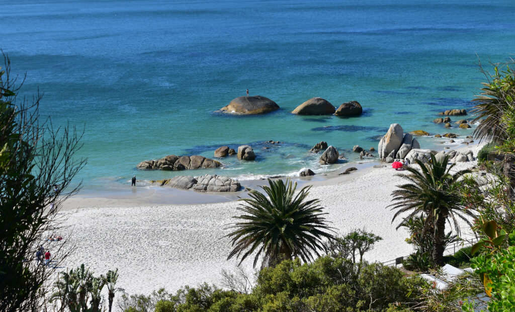 White sand beach with palm trees overlooking turquise water in Clifton