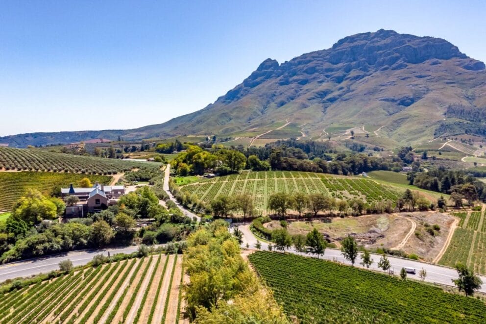 Stellenbosch Vinyards | Photo: Suodh Agnihotri via Getty
